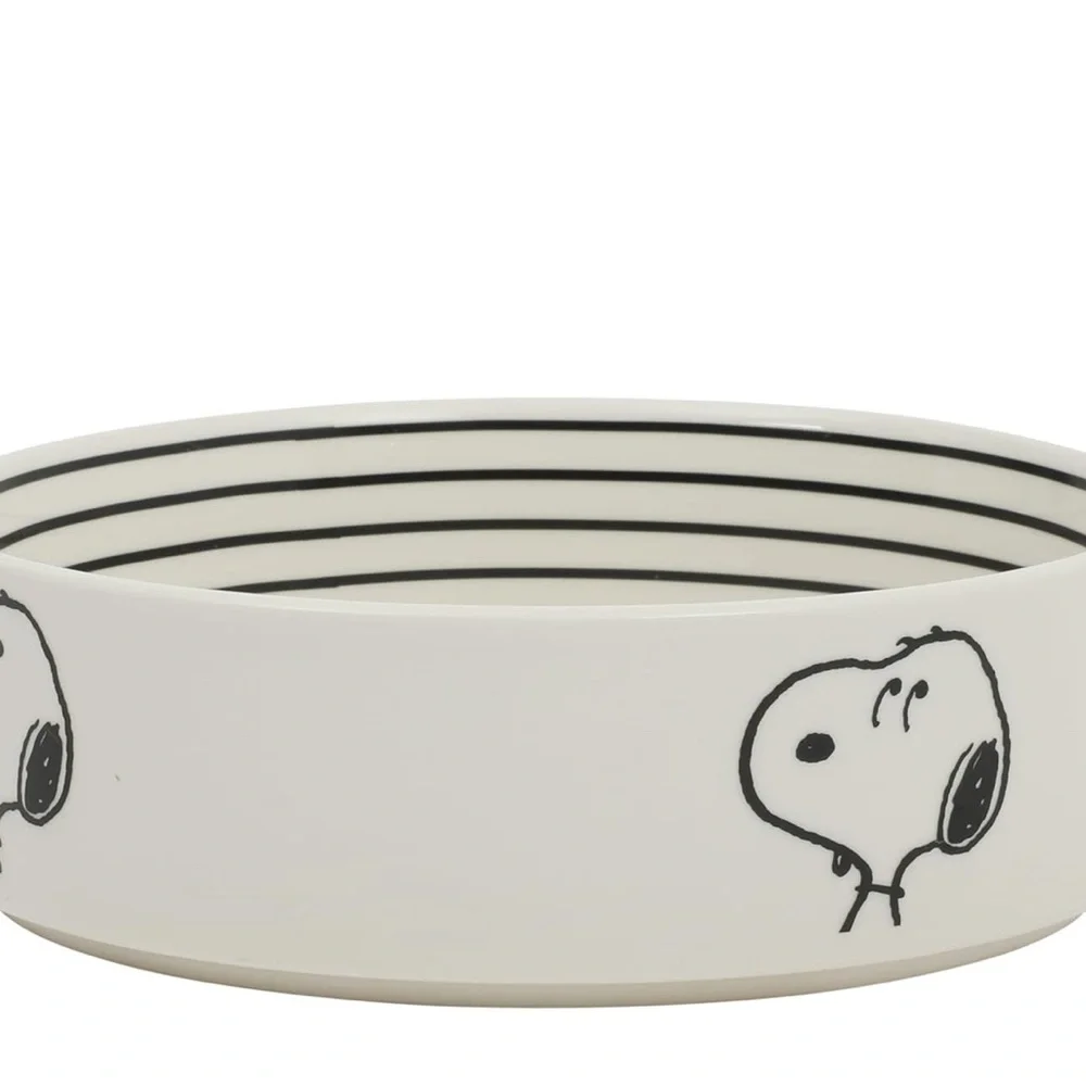 Snoopy Dog Bowl with Bone Design